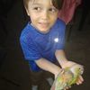 steven_el_bori